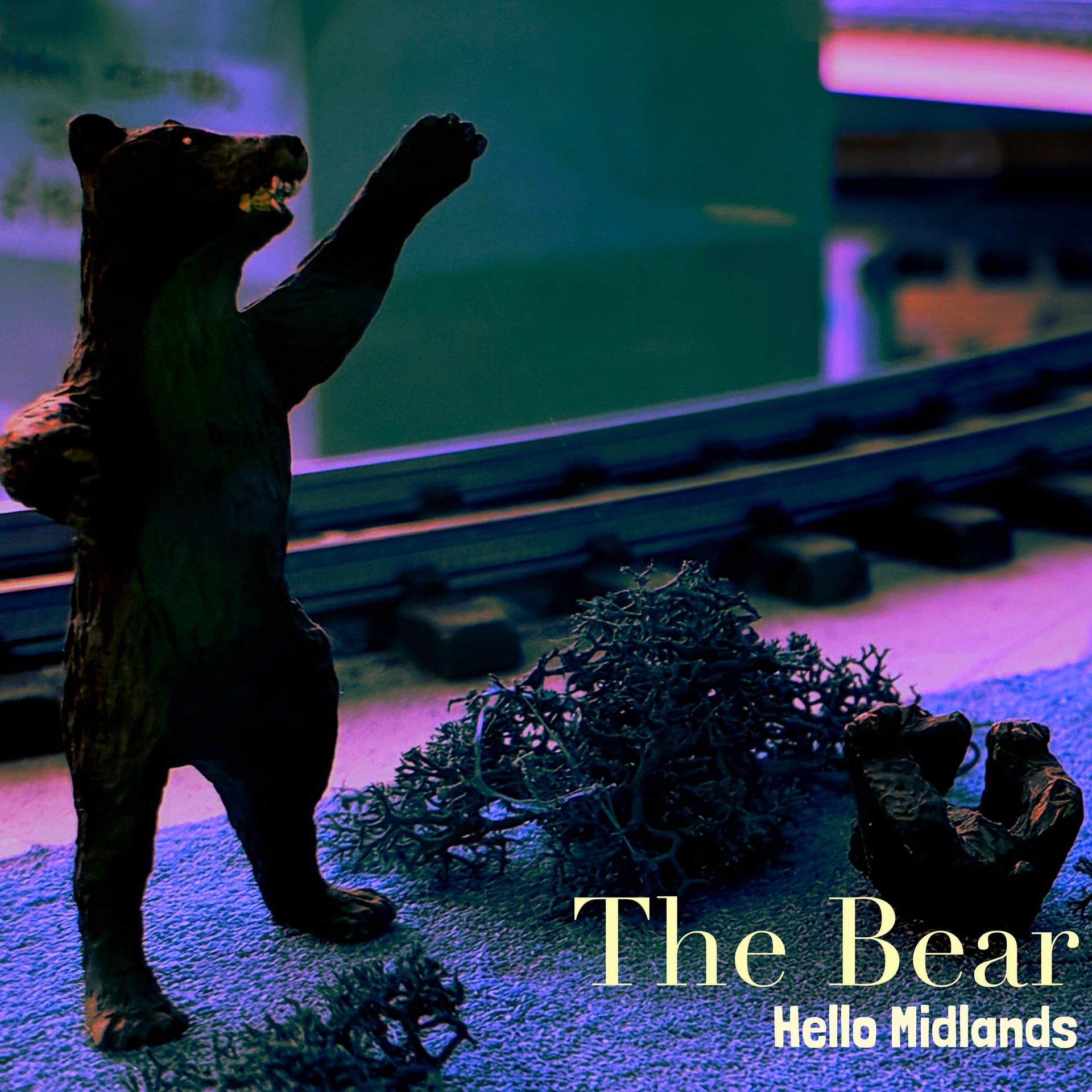 The Bear