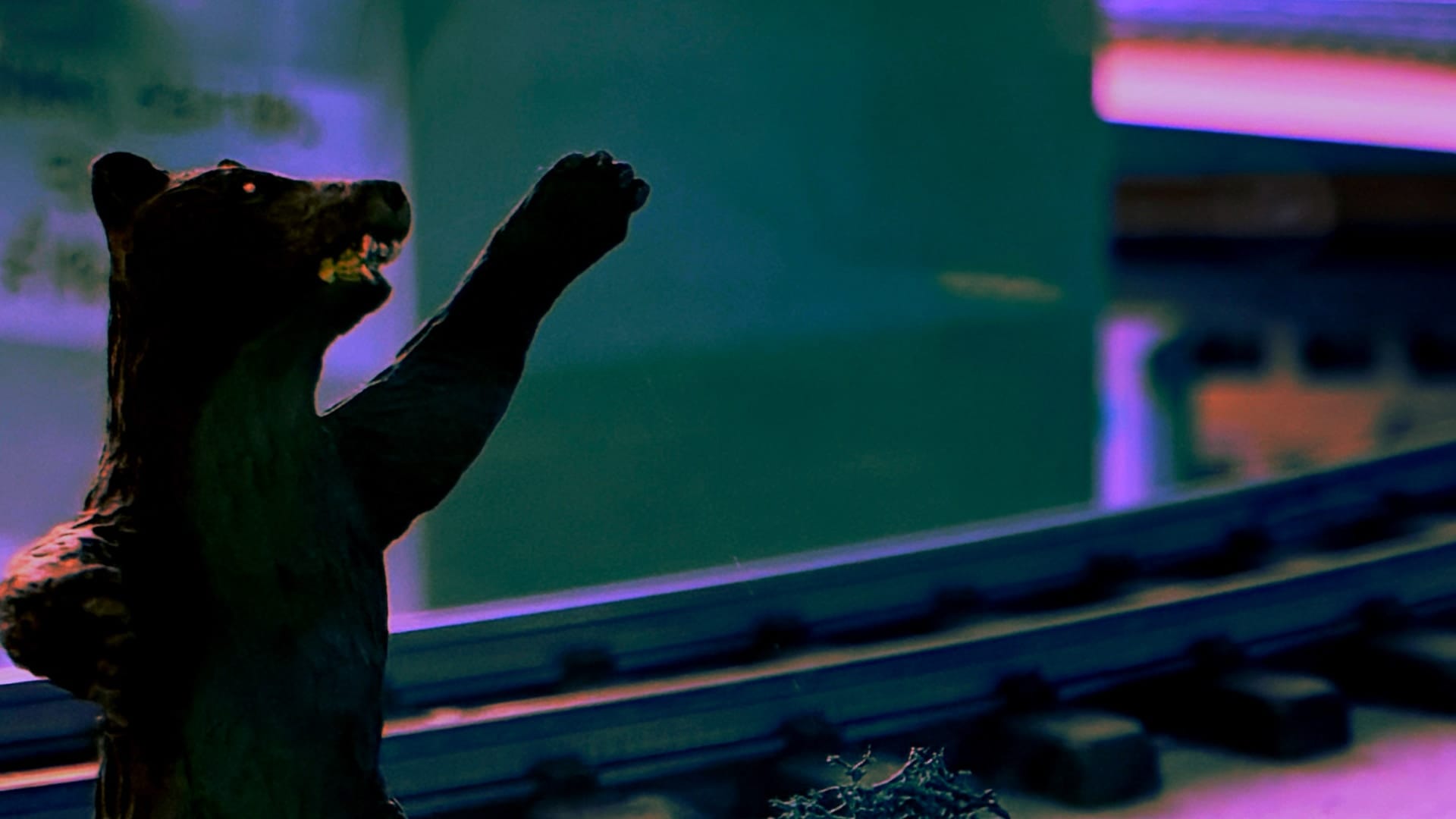 The Bear voted a Fresh Fave!